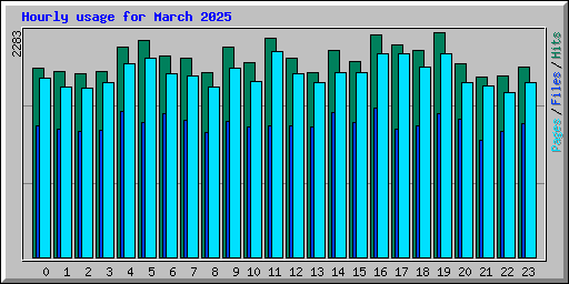 Hourly usage for March 2025